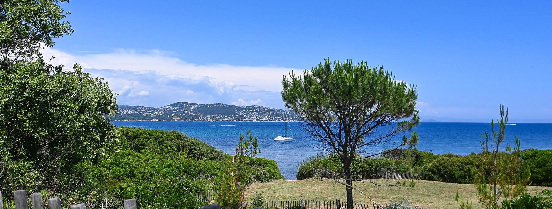Sous les pins Sous les pins