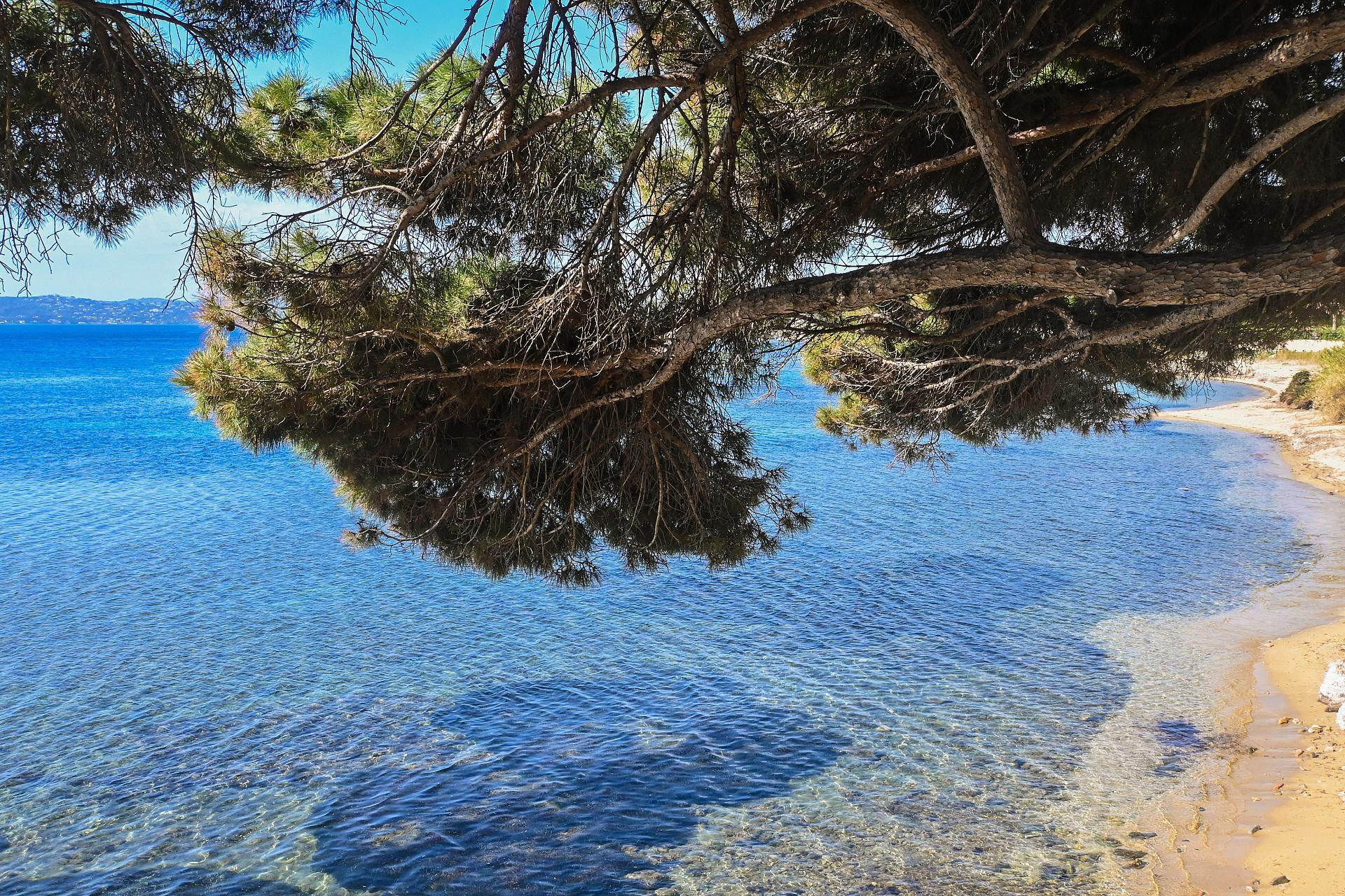 plage plage