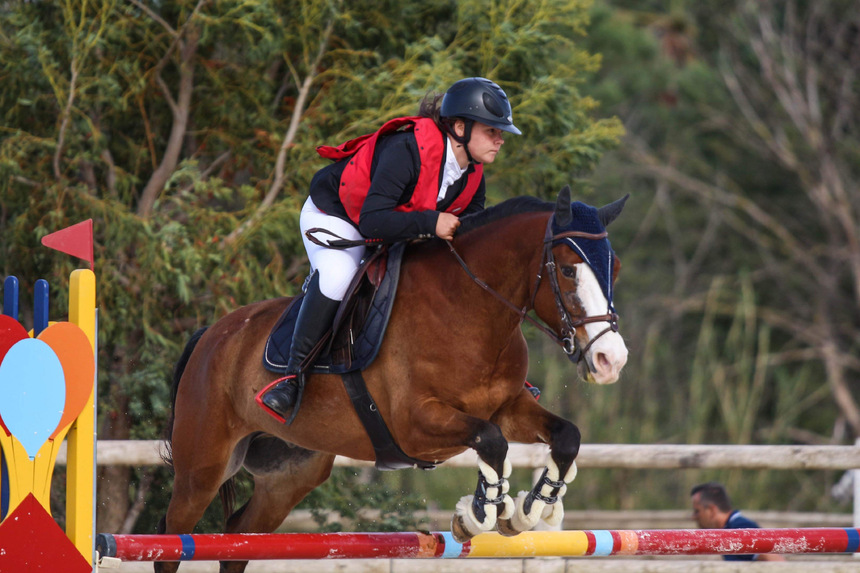 Horse-ball Horse-ball