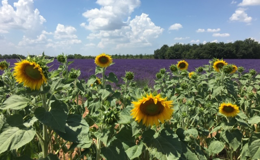 Provence Excellence 2 Provence Excellence 2