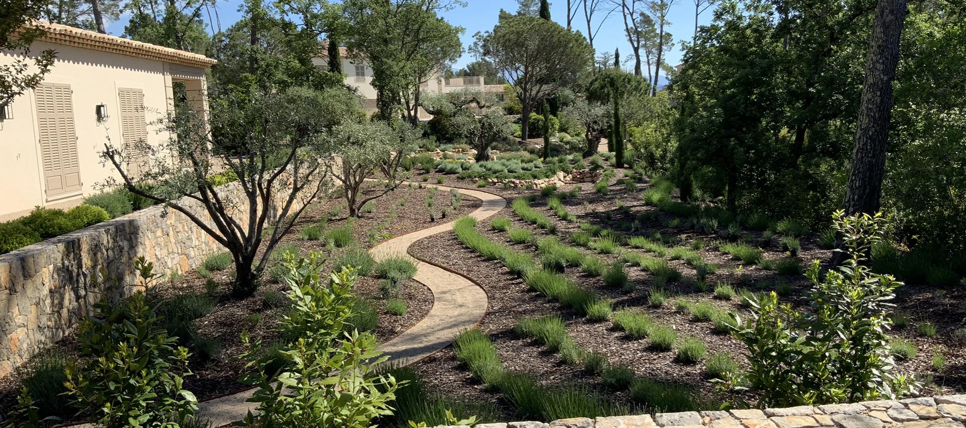 Tarif et installation arrosage automatique goutte à goutte Draguignan  (83300) - Auffray Paysage