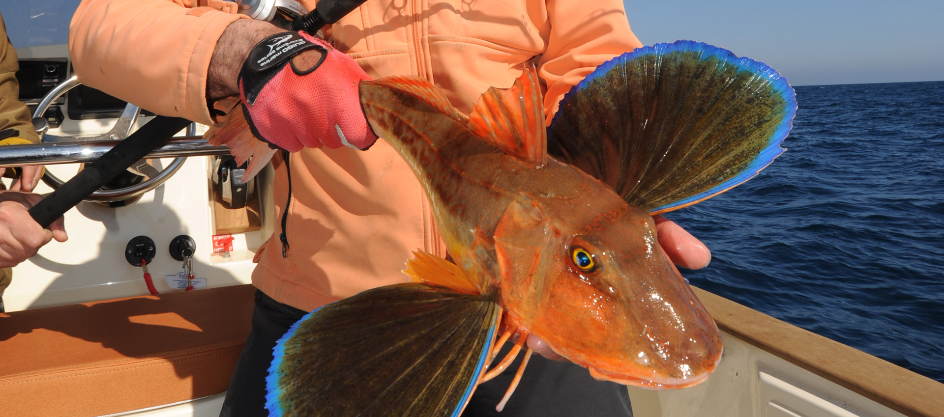 Pêche au Gros : Réservez votre sortie de pêche en mer