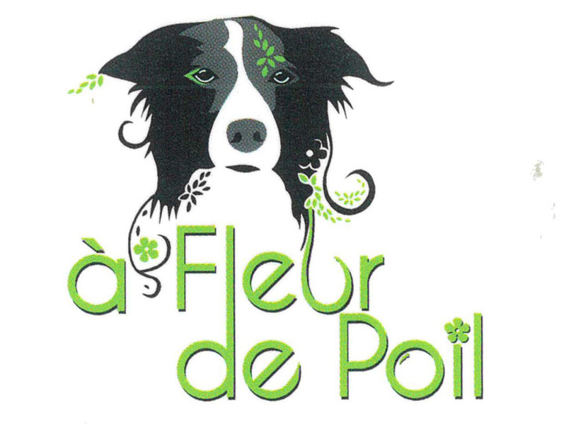 A Fleur de Poil 1