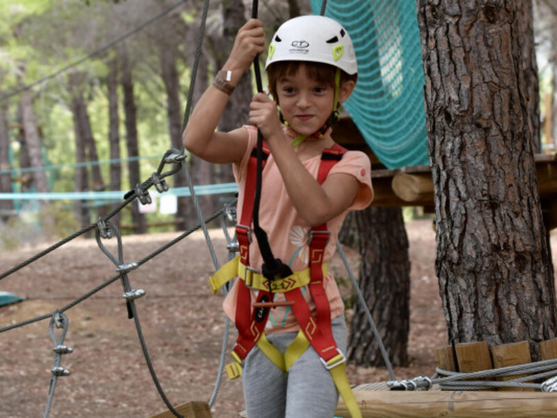 TREETOP ADVENTURE COURSES