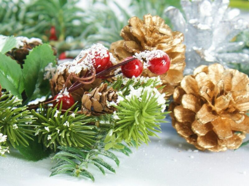 Atelier floral : une pigne sur mon chemin_Sainte-Maxime