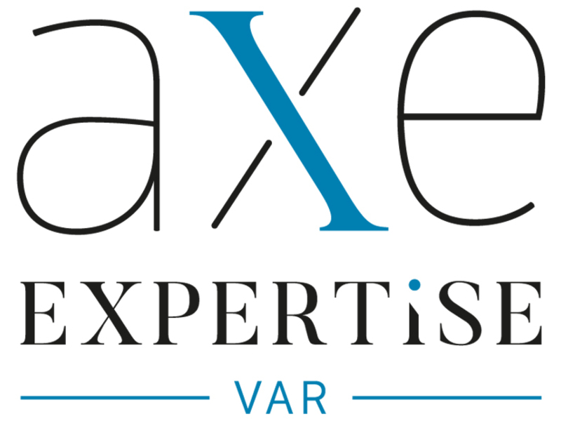 Axe Expertise 1