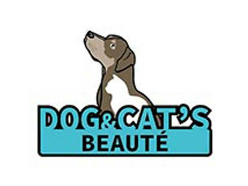 Dog and cat's beauté 1