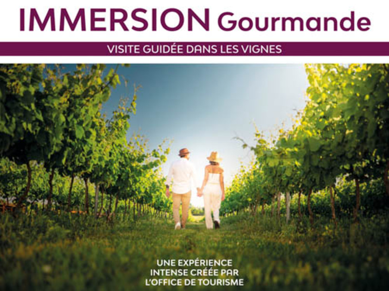 Immersion gourmande : Balade dans les vignes_Sainte-Maxime