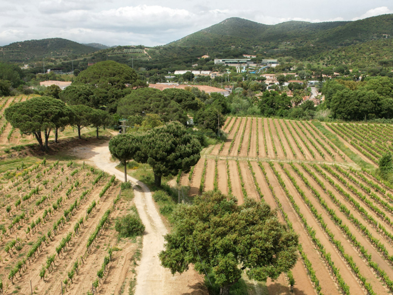 Le Clos de Ste Maxime 1