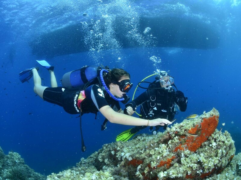 A la découverte des fonds marins