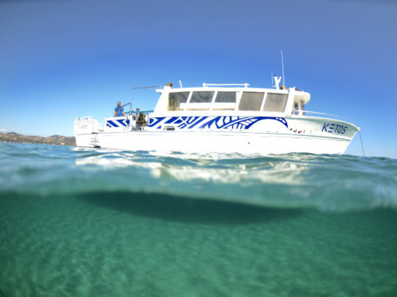 Privatisation du bateau Ketos avec plongée et snorkeling