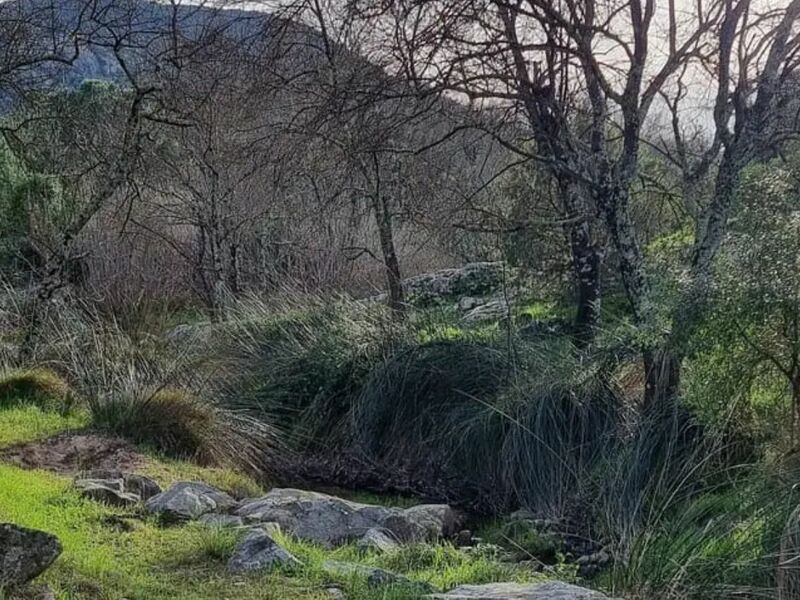 Promenade-découverte : chemins de nature – les plantes et l’eau quel duo !