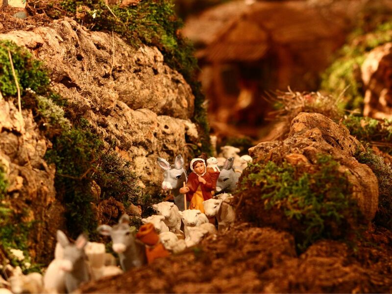 Promenade-découverte : une crèche et 1000 histoires à partager_Sainte-Maxime
