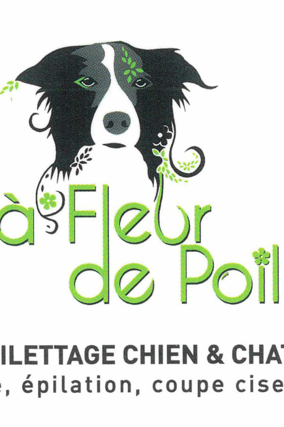 A fleur de poil