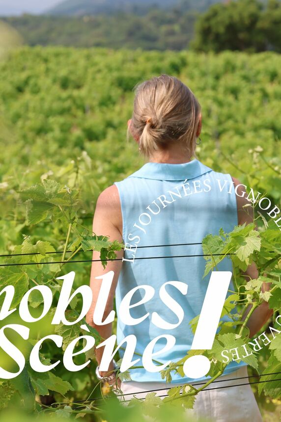 Balade dans les vignes_Sainte-Maxime