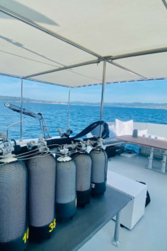 Diving experience
