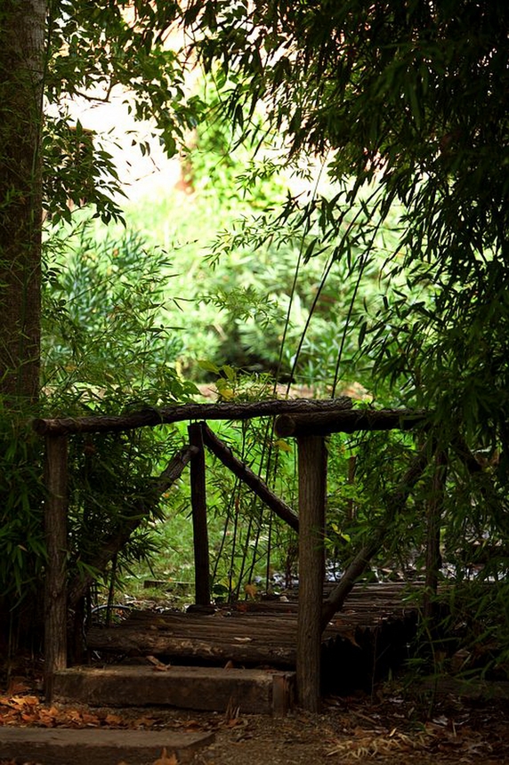 Jardin romantique