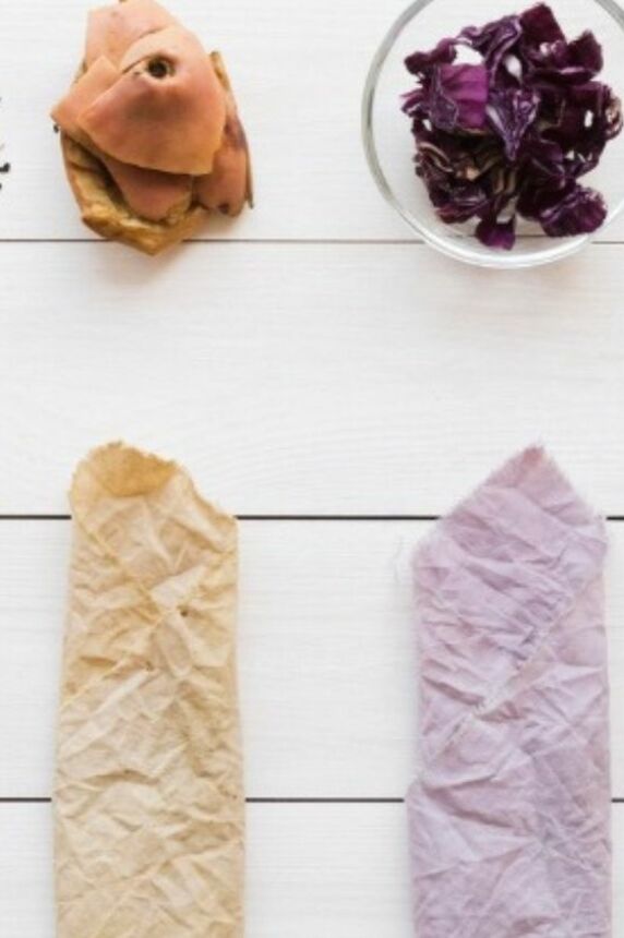 Color’conférence : les pigments du vivant_Sainte-Maxime