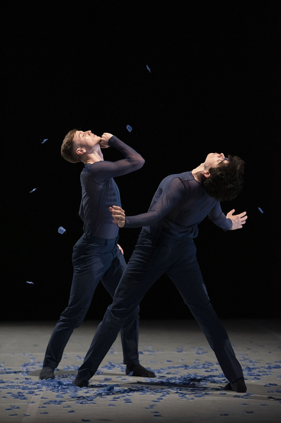 Danse : IT Dansa_Sainte-Maxime