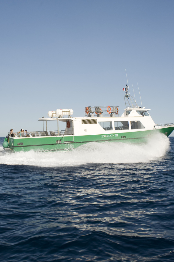 les bateaux verts