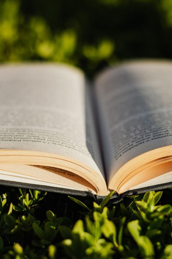 Festival littéraire : Des livres et des mots_Sainte-Maxime