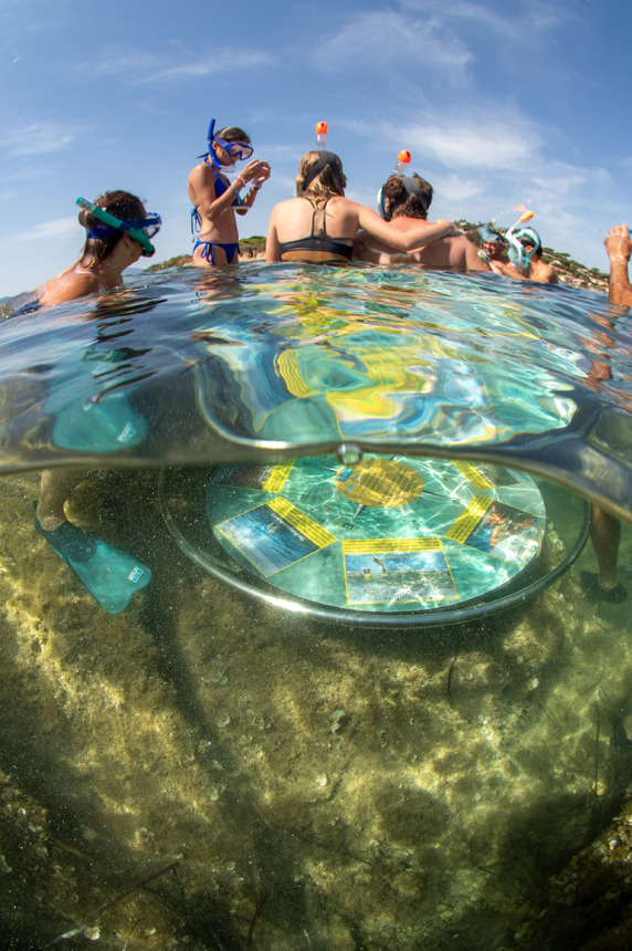 Balade aquatique à la Pointe des Sardinaux