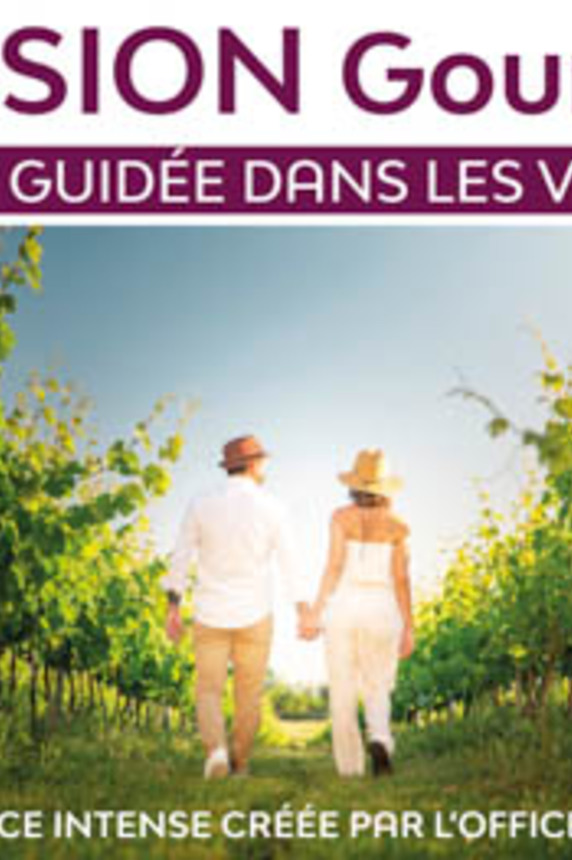 Immersion gourmande : Balade dans les vignes_Sainte-Maxime
