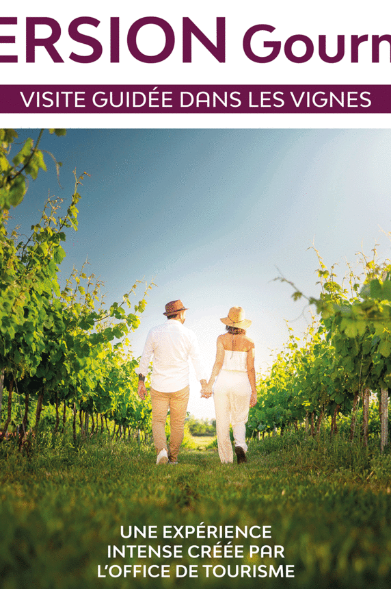 Immersion gourmande : Balade dans les vignes_Sainte-Maxime