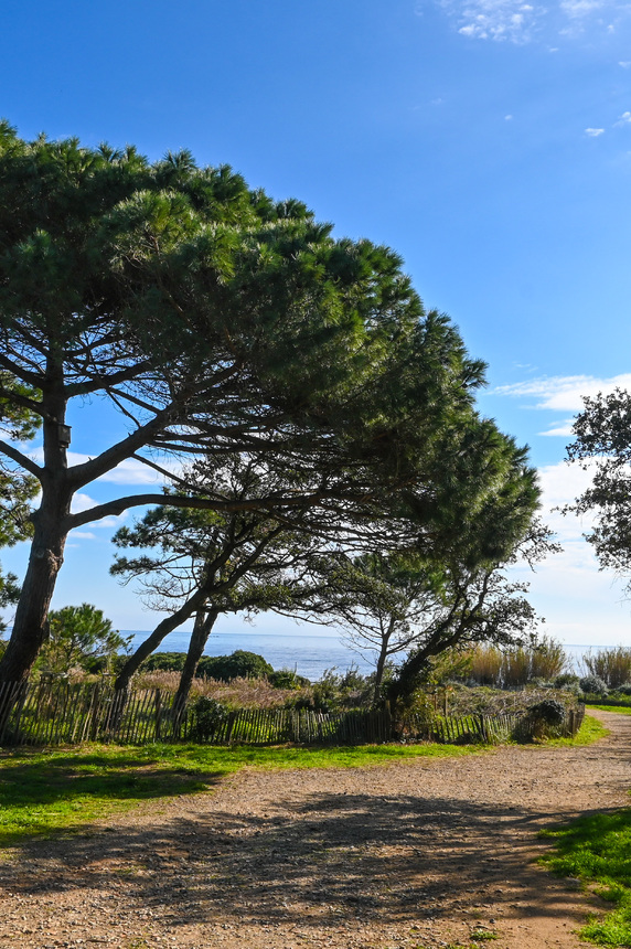 Pointe des Sardinaux