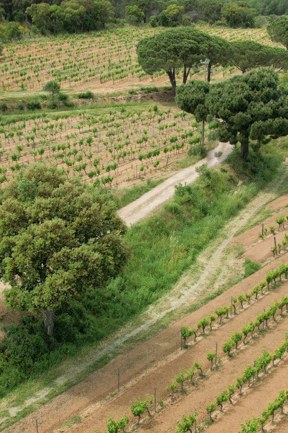 Le Clos de Ste Maxime 3