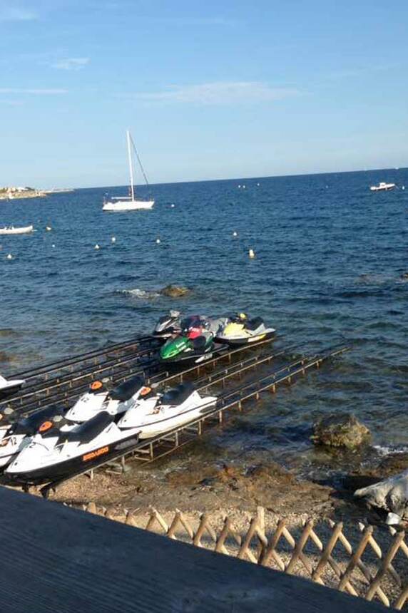 Les éléphants de mer jet ski