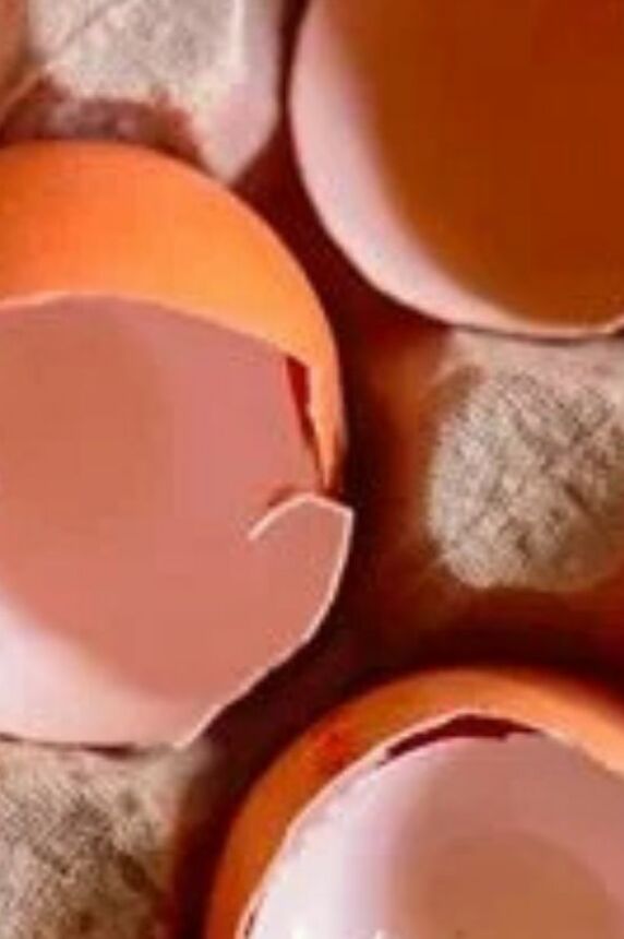 Rencontre théâtrale : clochette a raté sa vie_Sainte-Maxime