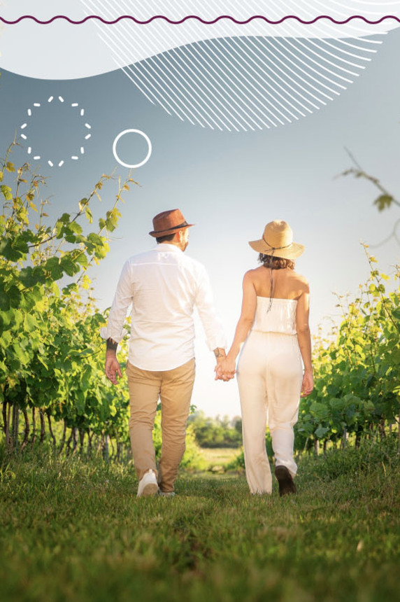 Visite guidée dans les vignes